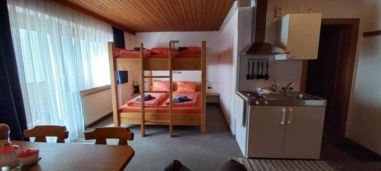 Studio Hochzillertal Mit Sauna & E-Ladestation Apartment Ried im Zillertal Exterior photo